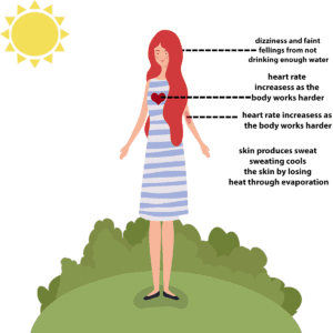 Stay healthy and safe this summer 3 tips.